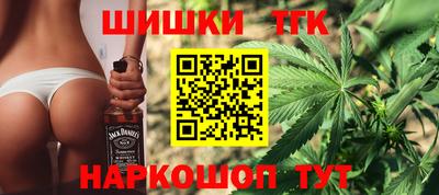 Альфа ПВП Малгобек