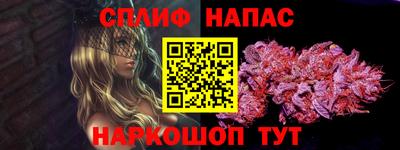Альфа ПВП Малгобек