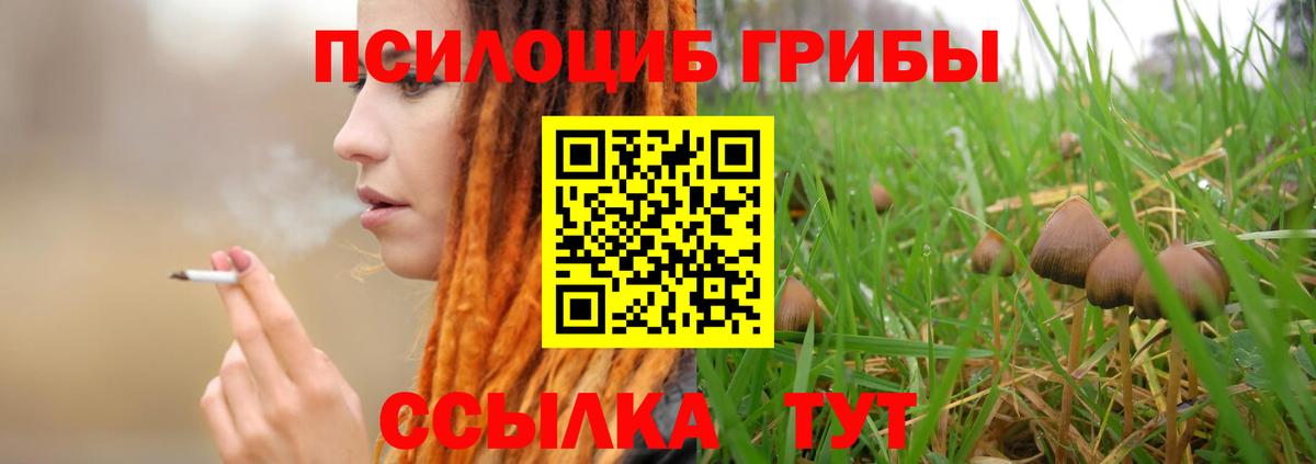 Галлюциногенные грибы ЛСД  Псилоцибиновые грибы Psilocybe  Вход с VPN  Славгород 